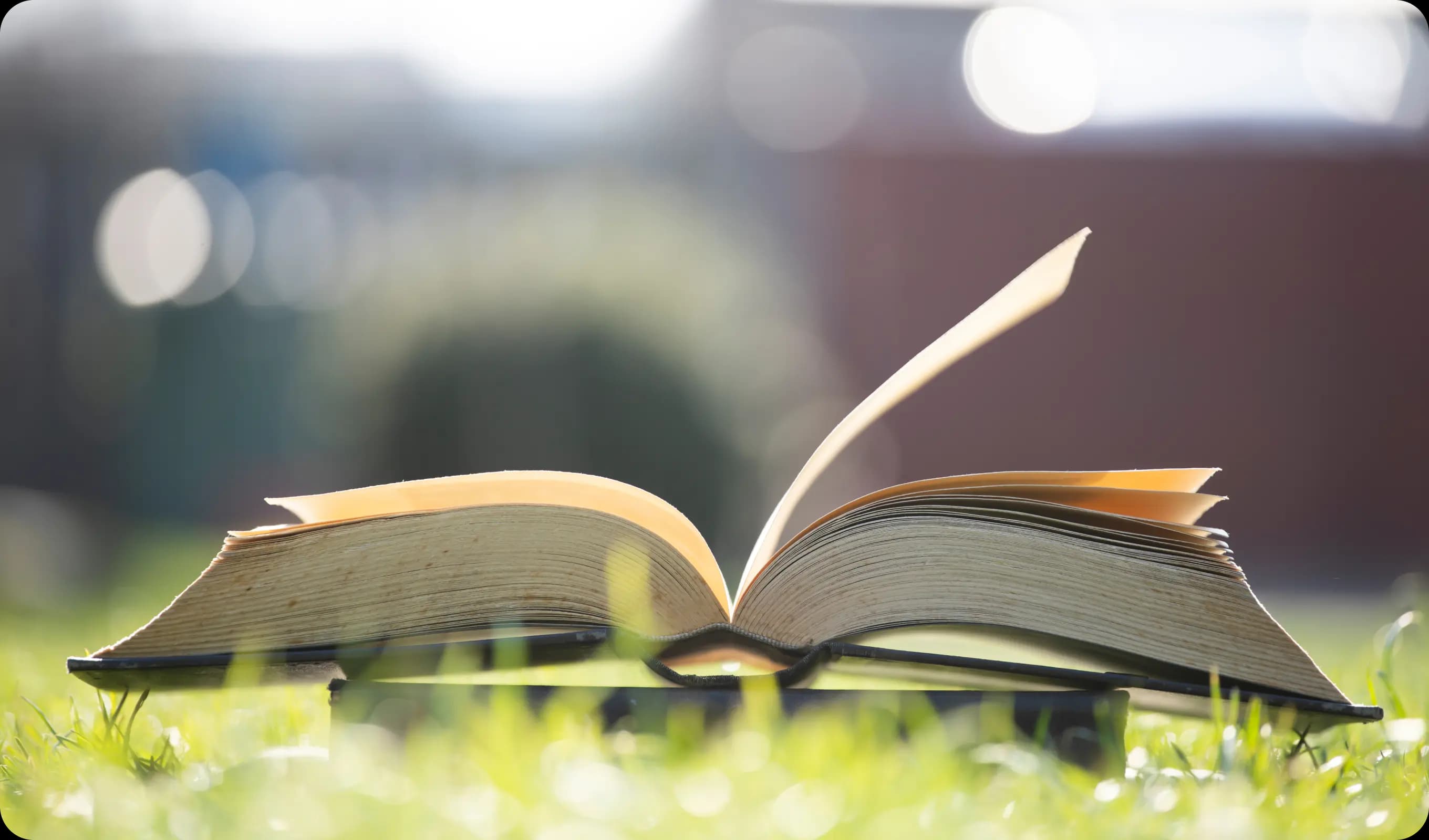 더 높은 단계로 나아가도록 구성원의 역량 개발을 지원합니다.