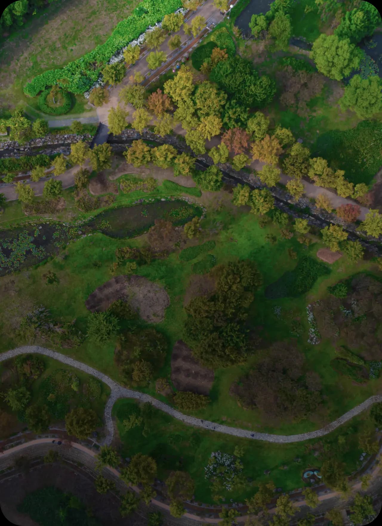 Core value: Nature Cleanup Activities